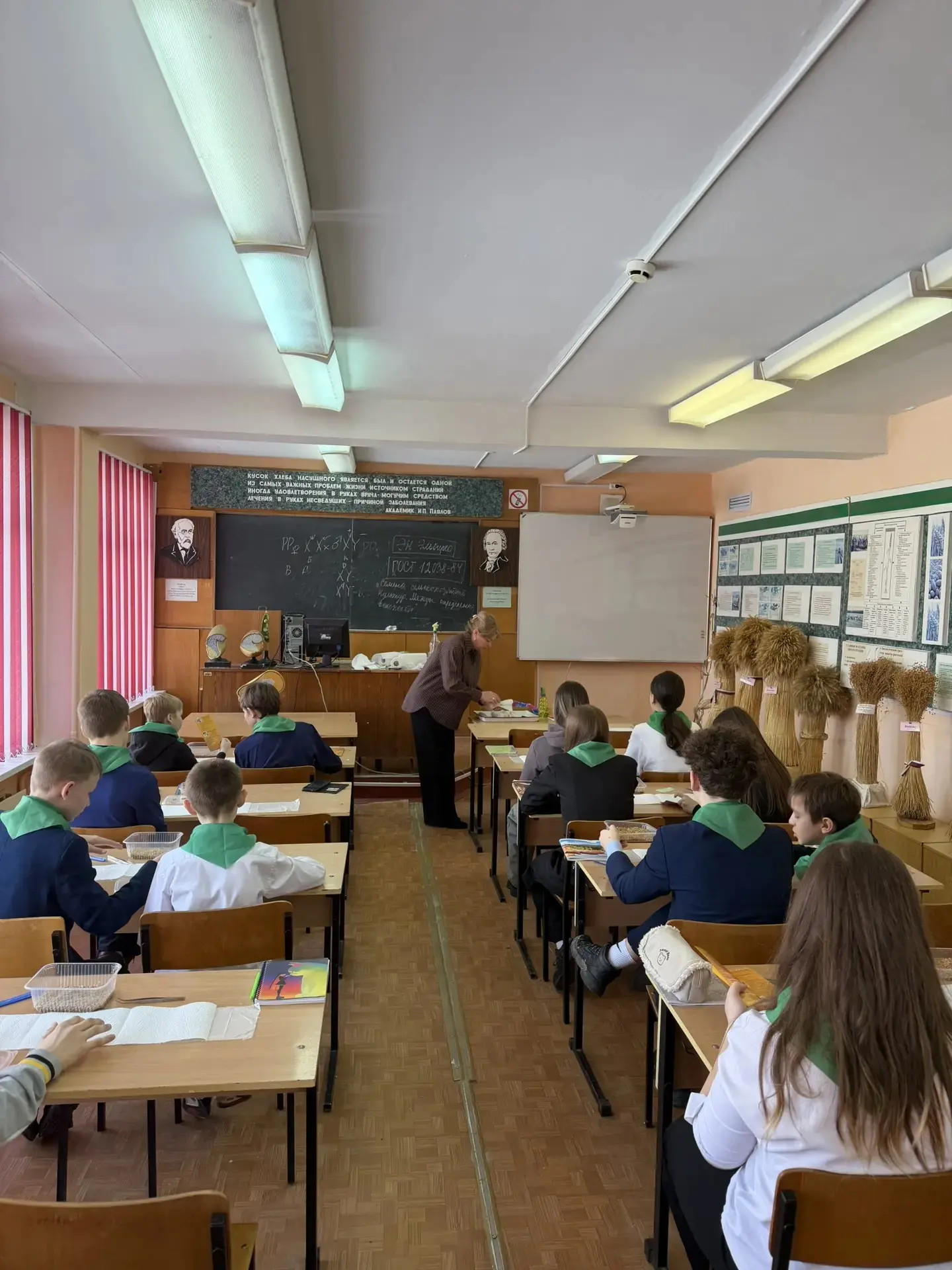 Практико-теоретический урок для учеников 7А агротехнологического класса Выгоничской школы..